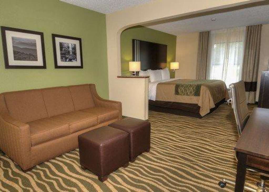Comfort Inn Near Downtown & Blue Ridge Pkwy Marion Habitación foto